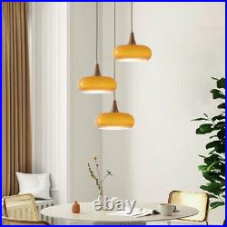 Dining Room Pendant Lights Industrial Chandelier Light Orange Bar Ceiling Lights