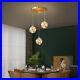 Gold-Dining-Room-Pendant-Light-Bedroom-Chandelier-Light-Led-Bar-Ceiling-Lights-01-cloq