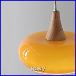 Orange Dining Room Pendant Lights Bar Chandelier Light Kitchen Ceiling Light