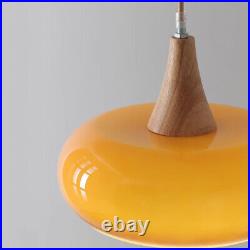 Orange Dining Room Pendant Lights Bar Chandelier Light Kitchen Ceiling Light